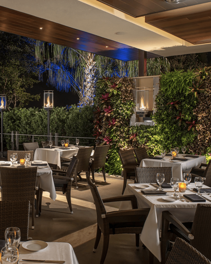 Tempest Gas Torch 20K with Hot Shot Electric Igniter