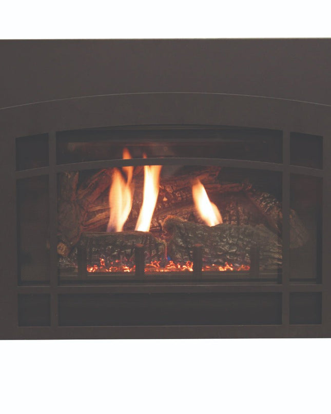 American Hearth Franklin DVC20 Clean Face Gas Insert - 20" Direct Vent, Millivolt Pilot, Ceramic Glass - NG/LP