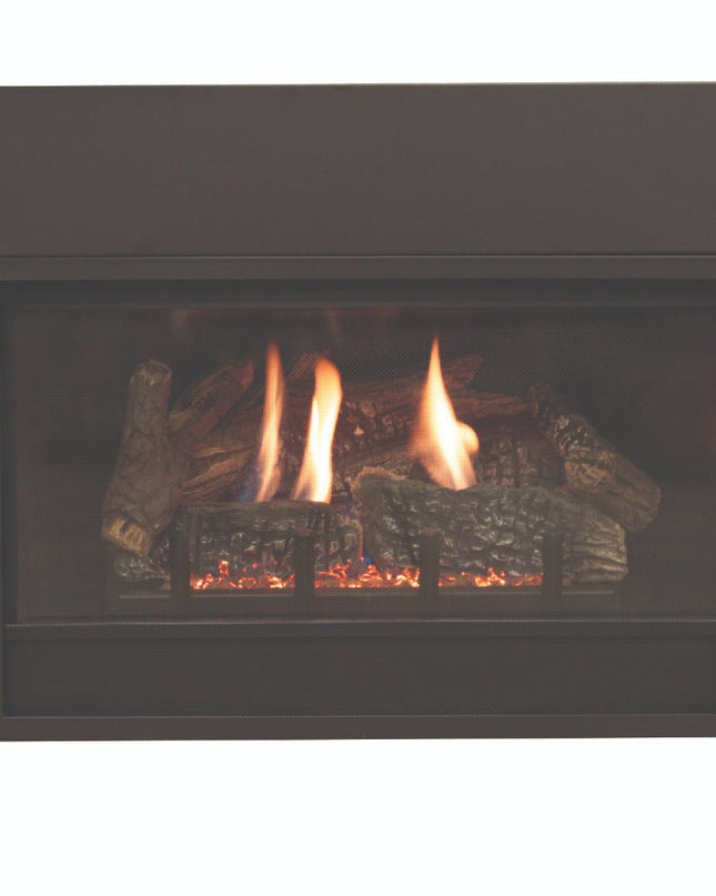 American Hearth Franklin DVC26 Medium Gas Insert - 26" Direct Vent, Millivolt Pilot, 77% Efficient - NG/LP