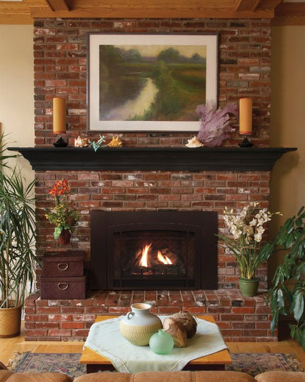 American Hearth Franklin DVC26 Medium Gas Insert - 26" Direct Vent, Millivolt Pilot, 77% Efficient - NG/LP