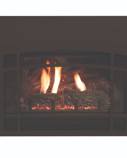 American Hearth Franklin DVC26 Medium Gas Insert - 26" Direct Vent, Millivolt Pilot, 77% Efficient - NG/LP