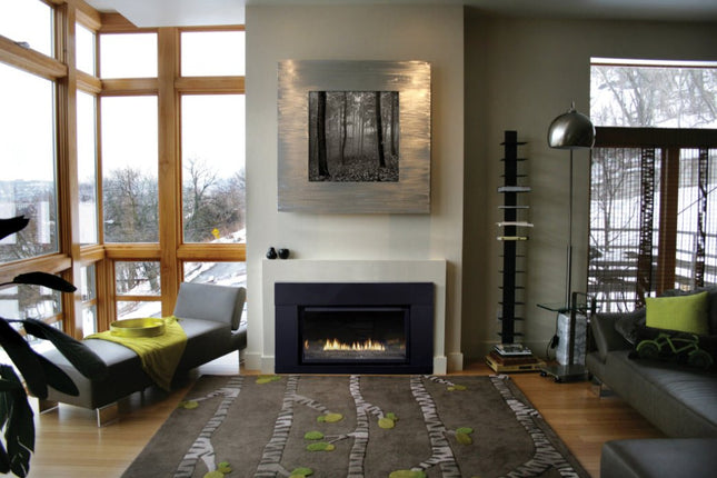 American Hearth Franklin DVC28 Large Gas Insert - 28" Direct Vent, 77% Efficient, Ceramic Glass - NG/LP