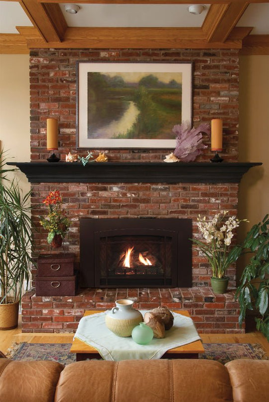 American Hearth Franklin DVC28 Large Gas Insert - 28" Direct Vent, 77% Efficient, Ceramic Glass - NG/LP