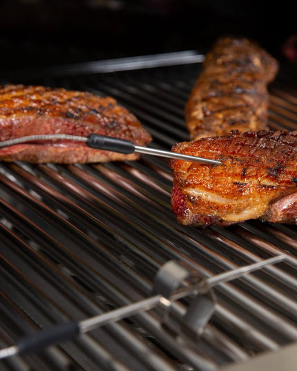Dual Probe Side Table Grill Thermometer