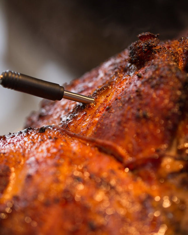 Dual Probe Side Table Grill Thermometer