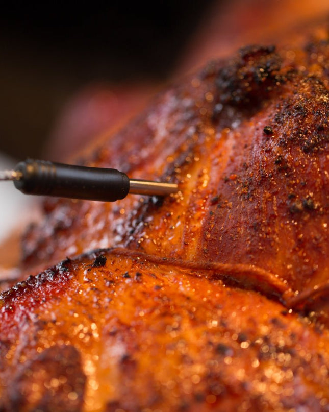 Dual Probe Side Table Grill Thermometer