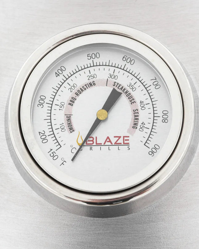 Blaze Cast Aluminum Kamado Grill 20-Inch on a Cart