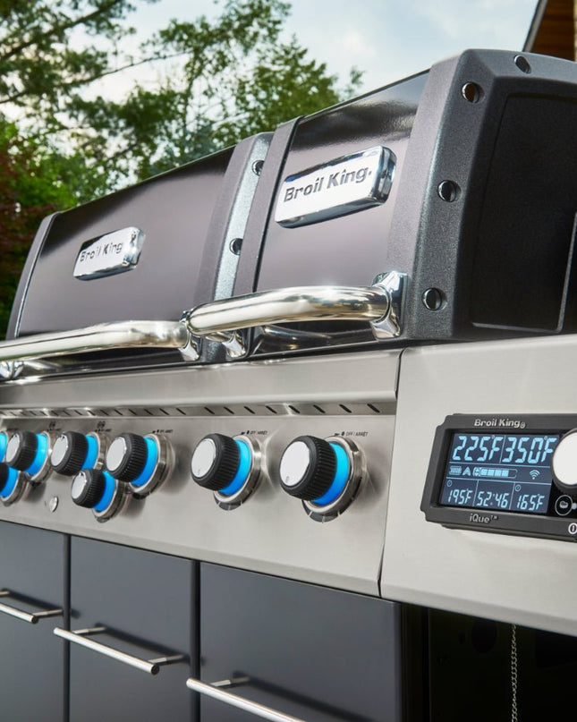 iQue Regal Q 690 Pro Grill