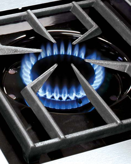 Stainless Regal S 520 - 5-Burner Built-In Grill