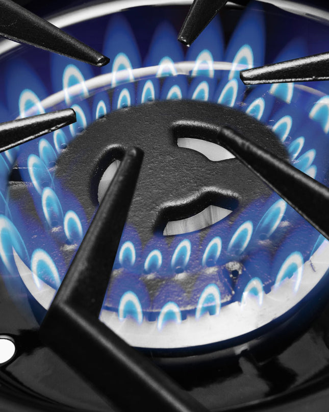 Regal S 590 Pro Stainless Grill