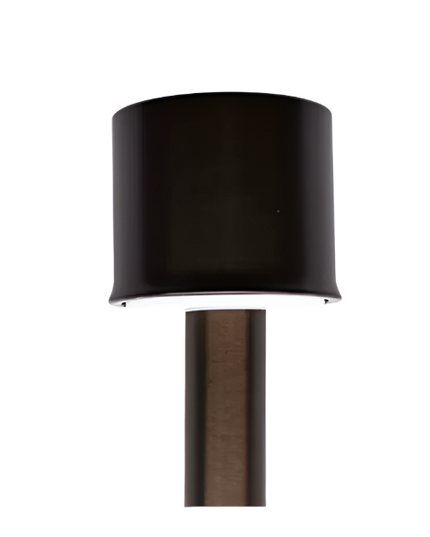 Lumien Adjustable Beam Brass Path Light Module 7W-245lm