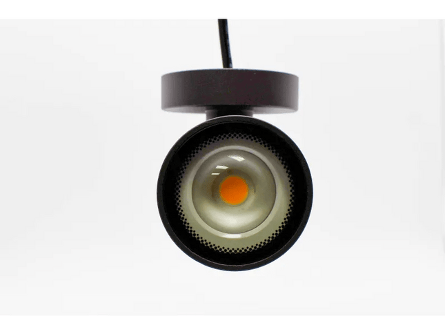 Lumien Durable Bronze 10W Downlight Sconce for Outdoor Walls